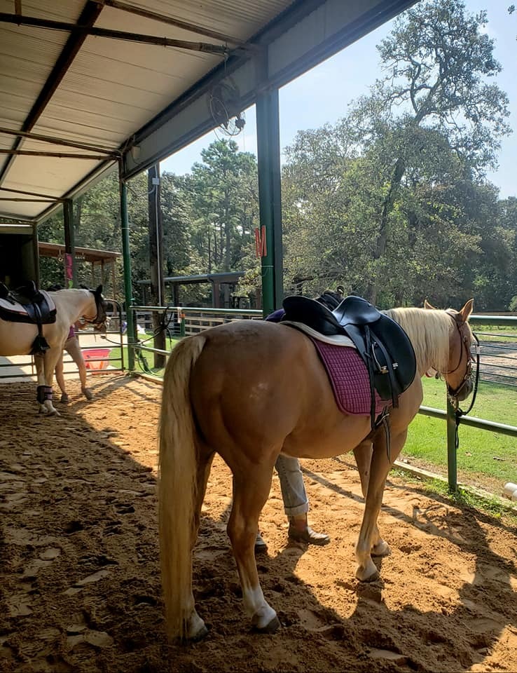 Horse Riding Scott Vann